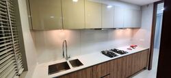 The Meyerise (D15), Condominium #599057951